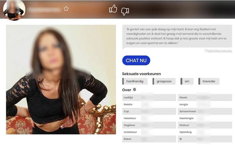 Shemalefinder.nl biedt een veilige datingomgeving met SSL-beveiligde communicatie, waarbij alleen geregistreerde leden profielen kunnen bekijken voor verhoogde privacy.